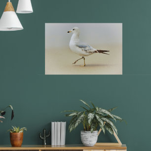 Vous Allez Gull Sea Gull Beach Art Poster