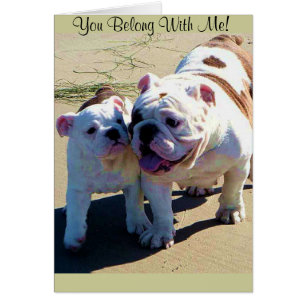 Vous appartenez avec moi !