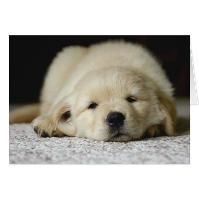 Vous attendez (Devant horizontal)