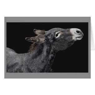 "Vous avez des carottes ?" - Carte Donkey