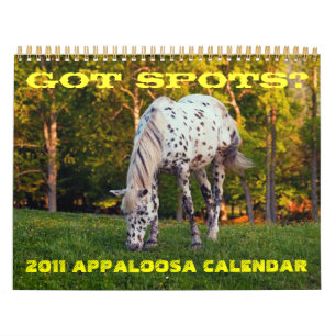 VOUS AVEZ DES POINTS ? CALENDRIER APPALOOSA 2011
