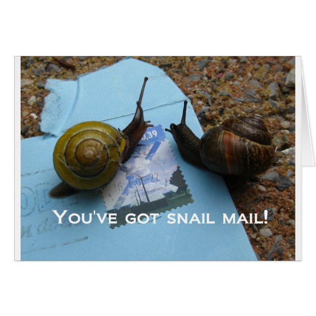 Vous avez du courrier d'escargot (Devant horizontal)