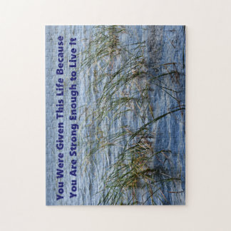 Vous avez été donnés ce puzzle de la vie