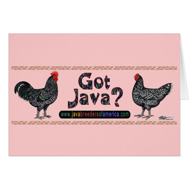 Vous avez Java ? (Devant Horizontal)