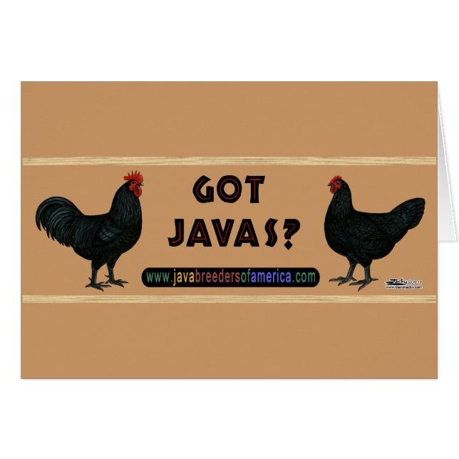 Vous avez Javas ? (Devant Horizontal)