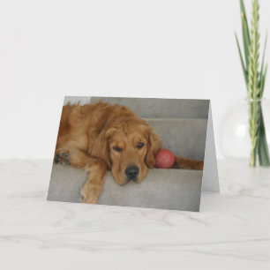 Vous avez manqué ! carte