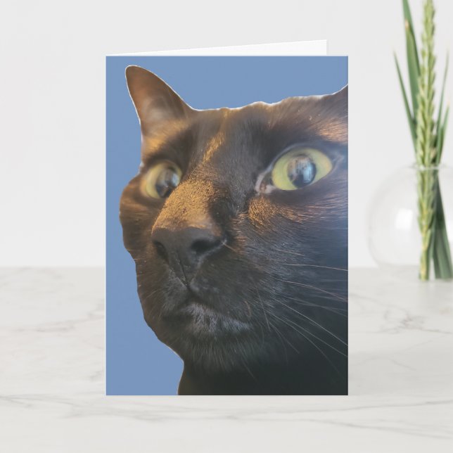 Vous avez quel âge ? Carte d'anniversaire (Devant)