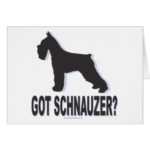 Vous avez Schnauzer ?