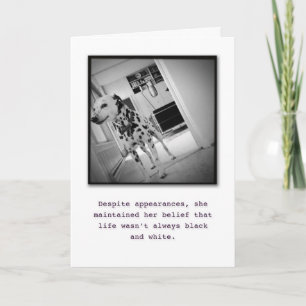 Vous colorez mon monde. Merci !