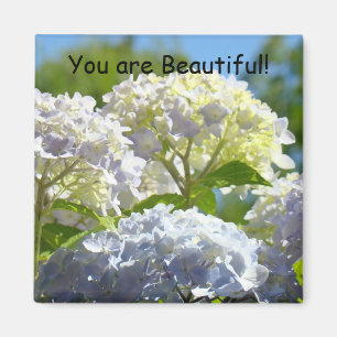Vous êtes Beau ! aimant Fleurs d'Hydrangea ensolei