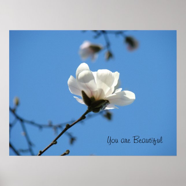 Vous êtes belle affiche art Ciel Bleu Magnolia (Devant)