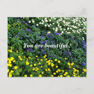 Vous êtes belle Carte postale Photo Garden