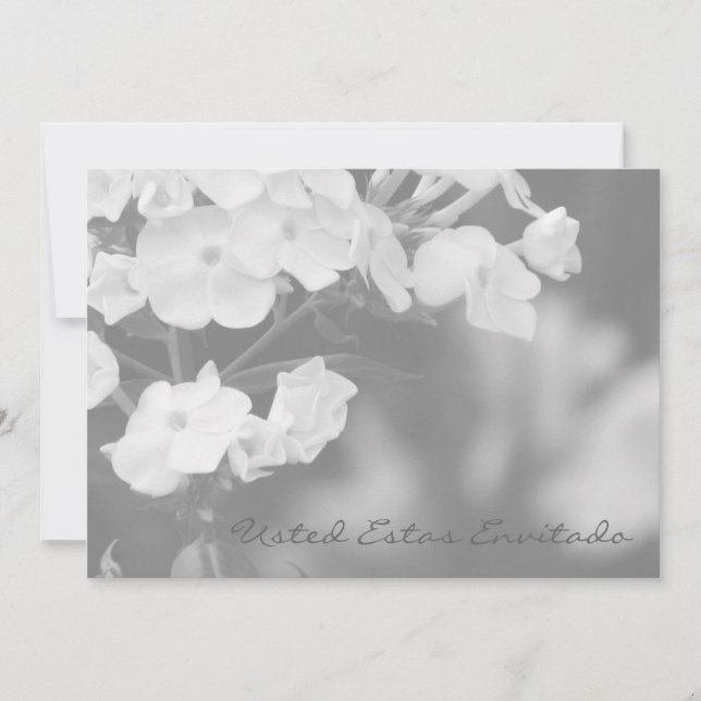 Vous êtes invité (Devant)