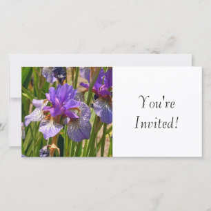 Vous êtes invités