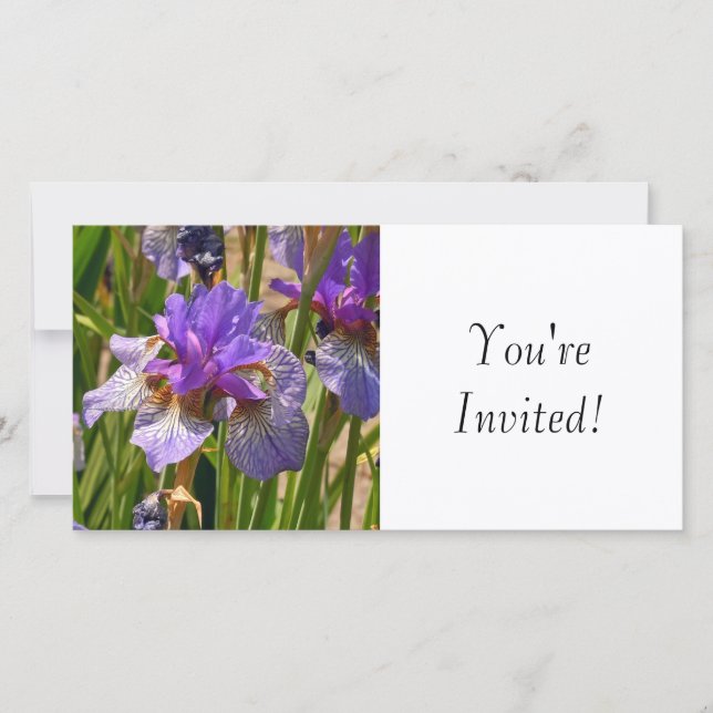 Vous êtes invités (Devant)