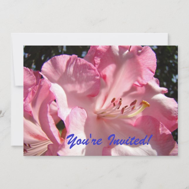 Vous êtes invités ! À la fête ! invitations (Devant)