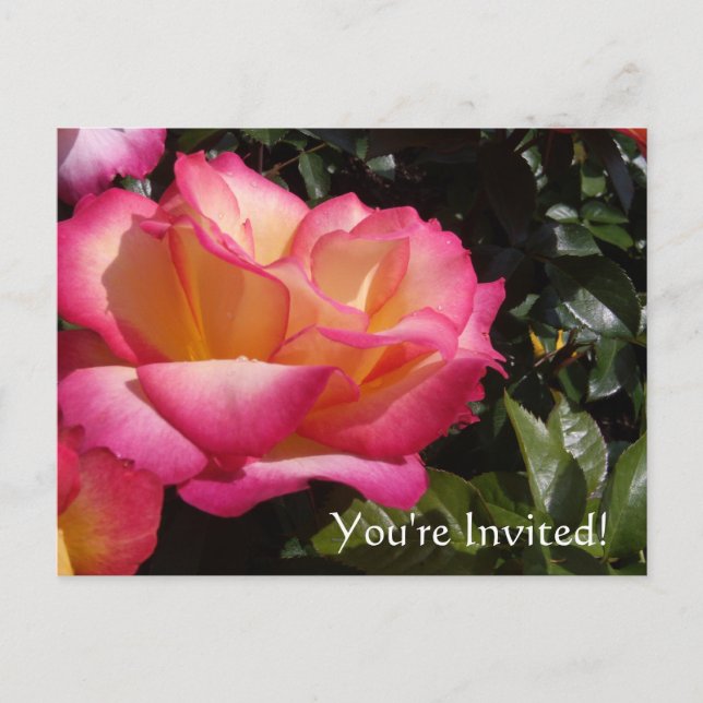 Vous êtes invités ! Carte postale d'invitation (Devant)