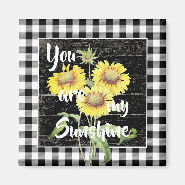 Vous êtes mon aimant solaire (Devant)