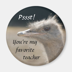Vous êtes mon professeur préféré - aimant