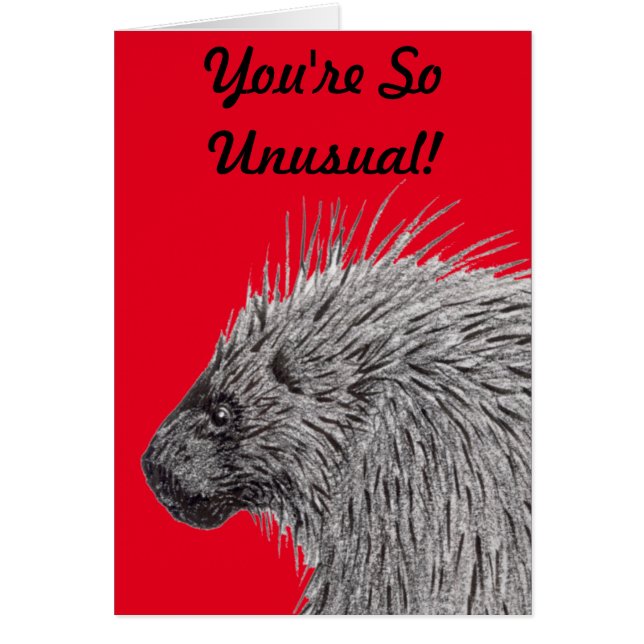 Vous êtes si inhabituel Porcupine (Devant)
