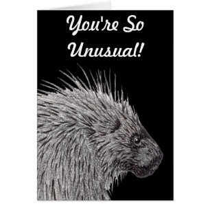 Vous êtes si inhabituel Porcupine