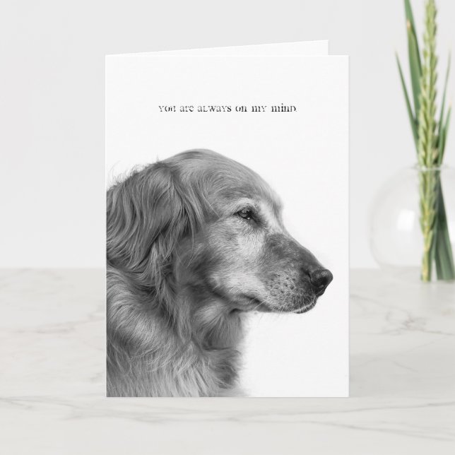 Vous êtes toujours sur ma carte mentale (Devant)