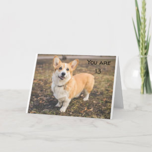 VOUS ÊTES UN ADOLESCENT HEUREUX **13ème** Carte d'