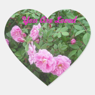 Vous Êtes Un Autocollant Rose Aimé