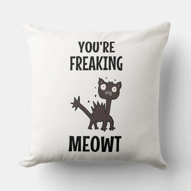 Vous êtes un Oreiller à lancer Meowt (Recto)