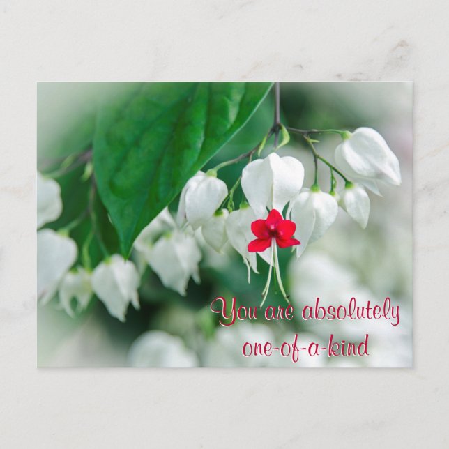 Vous êtes une carte postale unique (Devant)