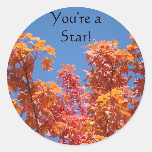 Vous êtes une star ! autocollants Feuilles d'arbre (Devant)