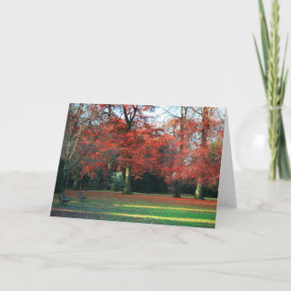 Vous le dites la meilleure carte de voeux