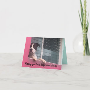 Vous manquant un carte pour notes comme un chien