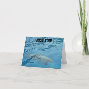 VOUS MANQUEZ LA CARTE DE NATATION DOLPHIN