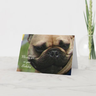 Vous manquez sur votre carte de Bulldog français a