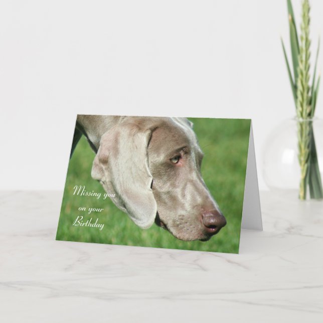 Vous manquez sur votre carte Weimaraner d'annivers (Devant)