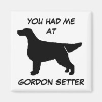 VOUS M'AVEZ EU À GORDON SETTER Magnet