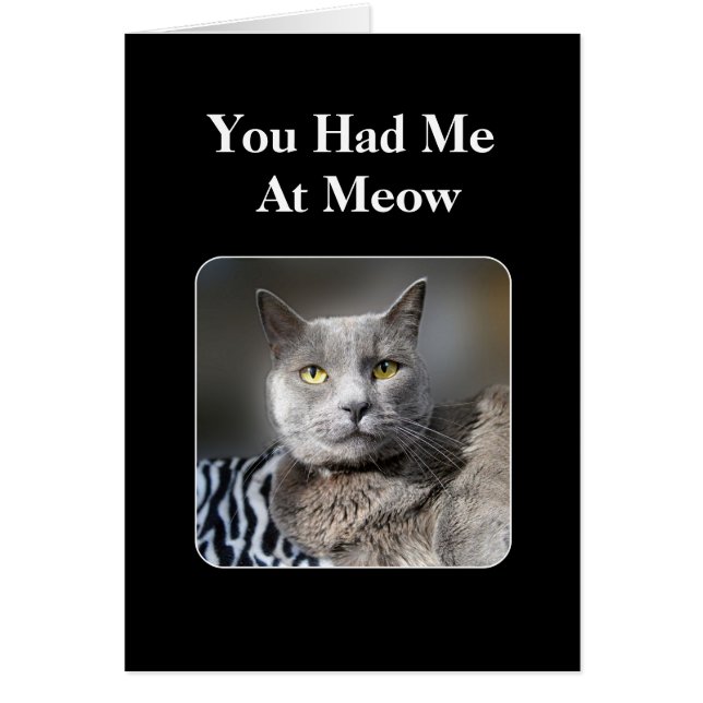 Vous M'Avez Eu Chez Meow Russian Blue Cat (Devant)