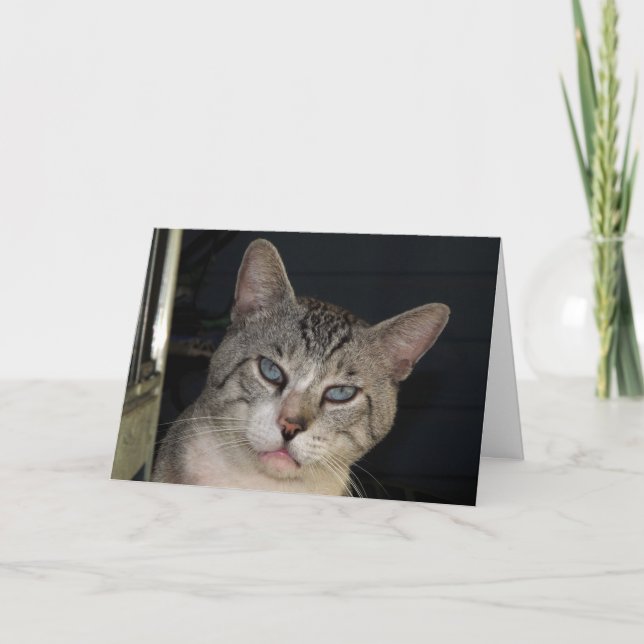 Vous Me Faites Payer La Carte Anniversaire (Devant)