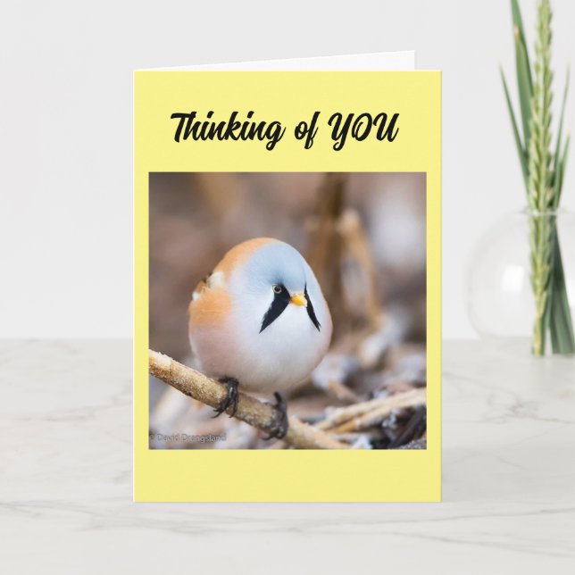 * VOUS ME MANQUEZ* DÉSIREZ DIRE EN CARTE PERSONNEL (Devant)