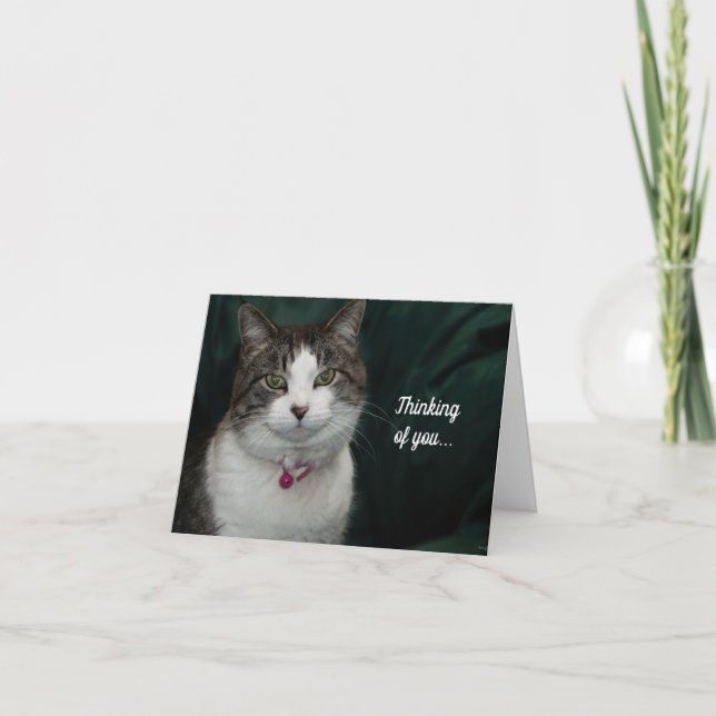 Vous me regardez en pensant à vous Carte (Devant)