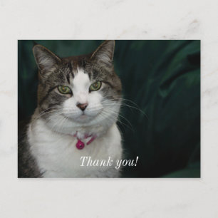 Vous me regardez, je vous regarde Carte postale de