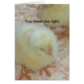 Vous me tweetez correctement.