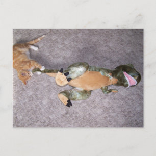 vous ne me faites pas peur Carte postale