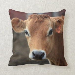 Vous ne me pensez pas suis joli coussin de vache