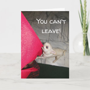 Vous ne pouvez pas quitter Chihuahua Carte de voeu