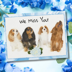 Vous Nous Manquez ! 4 Carte postale Cavalier King
