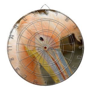 Vous regarder Cible de flechettes pélicane