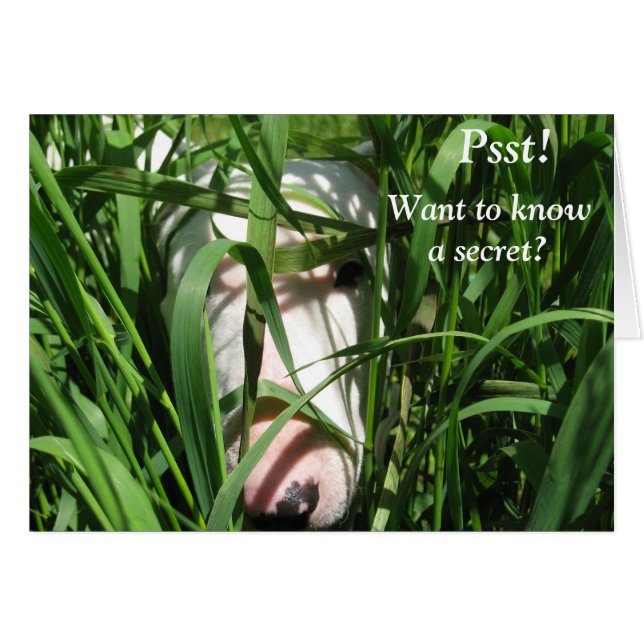 Vous voulez connaître un secret (Devant horizontal)