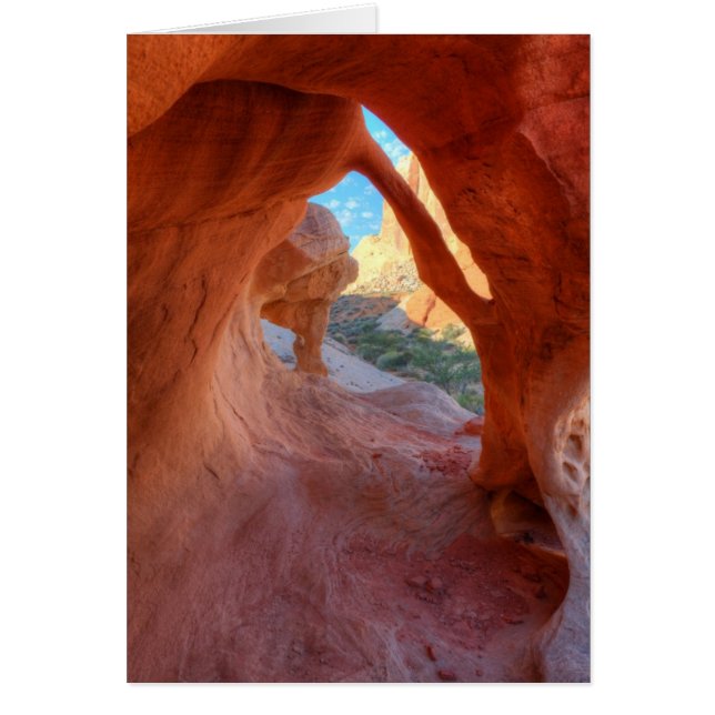 Voûte mince (Devant)